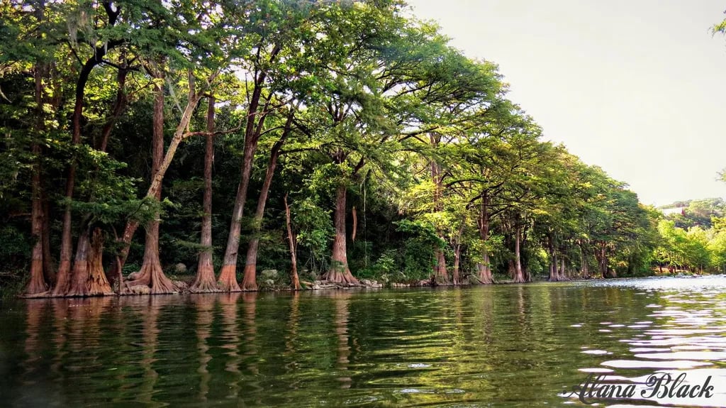 River Road Camp gallery 2