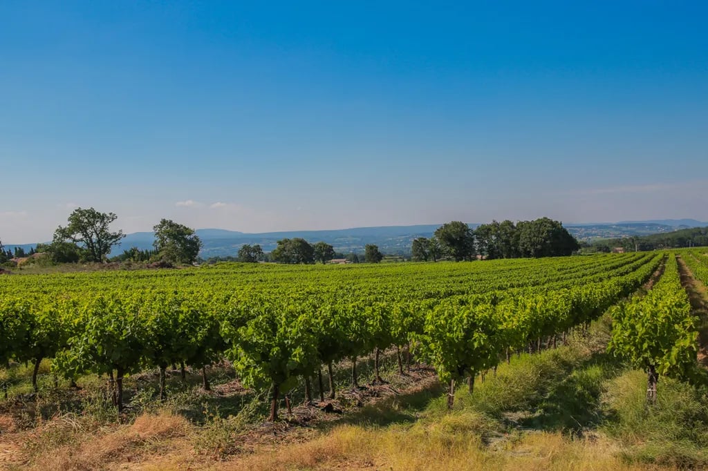 Les Yourtes de Provence gallery 1