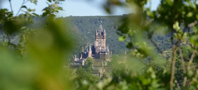 Camping-Schausten gallery 2