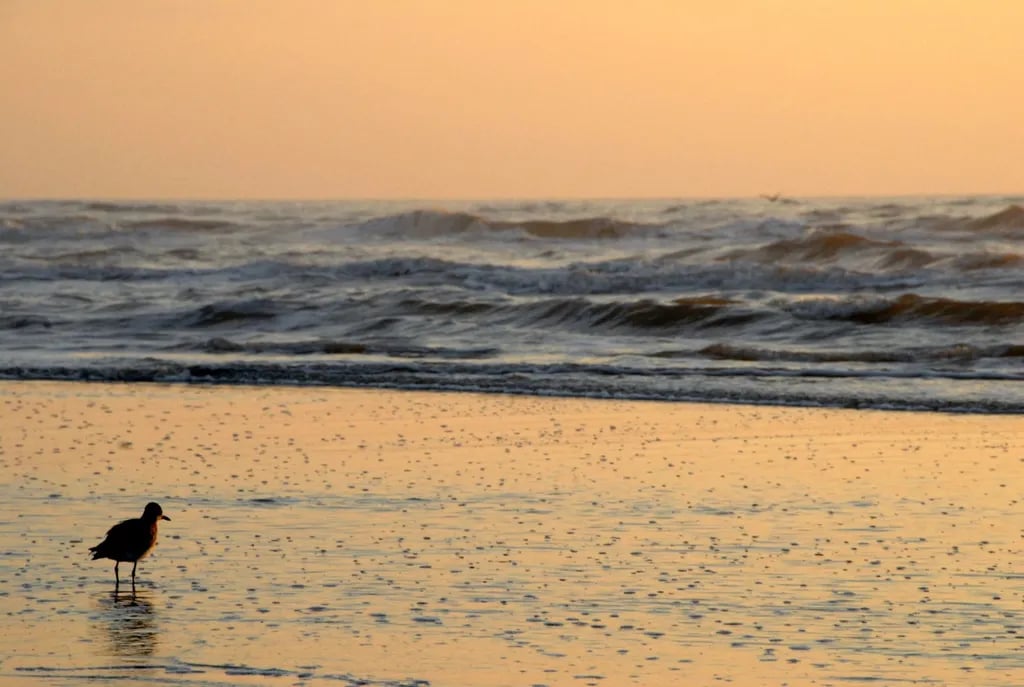 Sea Breeze RV Community Resort gallery 3