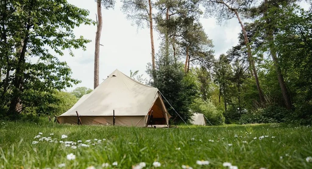 Vakantiepark Diana Heide gallery 1