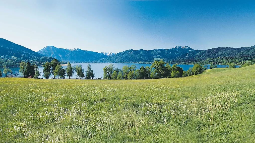 Camping Wallberg gallery 1