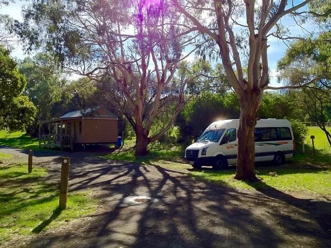 Bimbi Park gallery 3