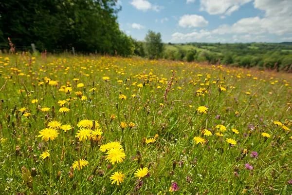 Denmark Farm Eco Campsite gallery 2