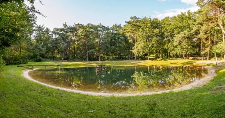 Natuurcamping De Hoogte gallery 3