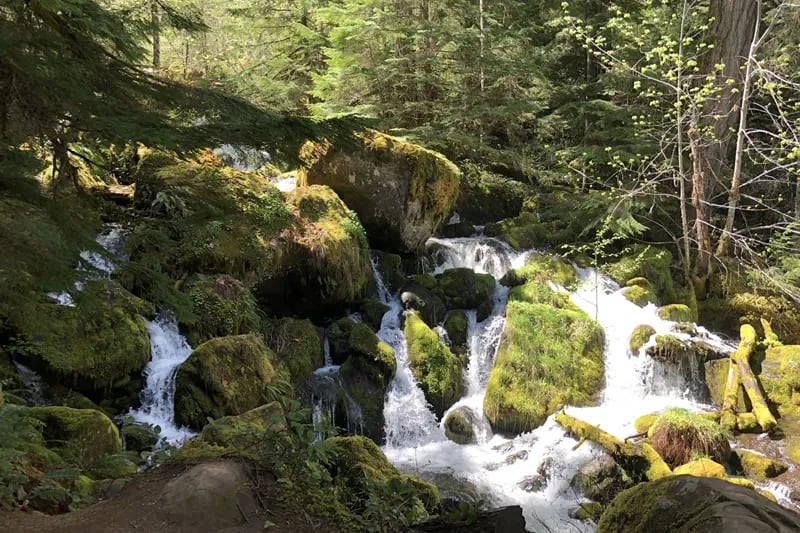 Riverside Trailer & RV Park gallery 3