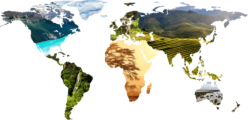 Loma Paloma RV Park gallery 3