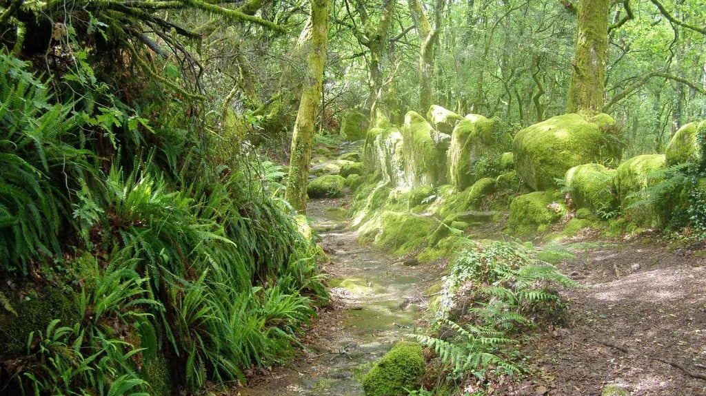 Parque Cerdeira gallery 3