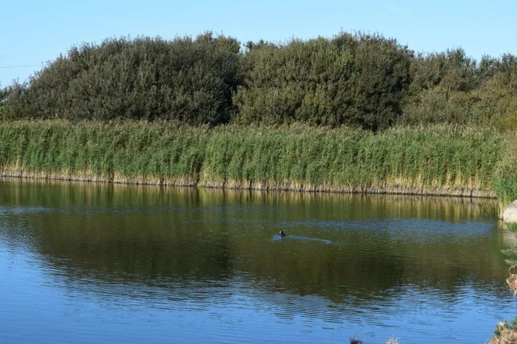 Herons Park Campsite gallery 1