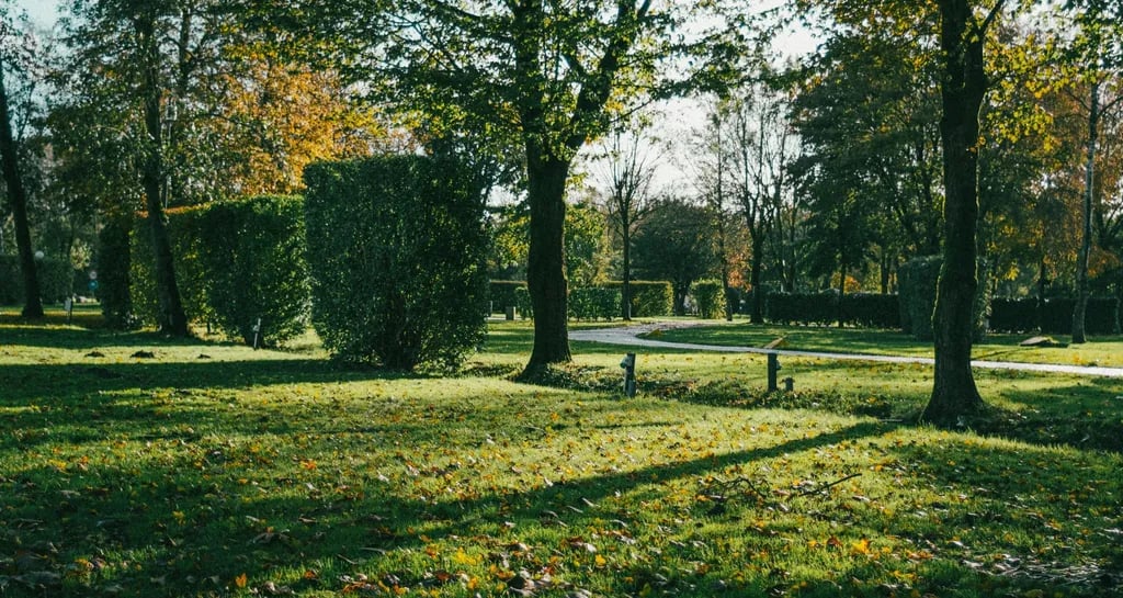 Camperpark Amsterdam