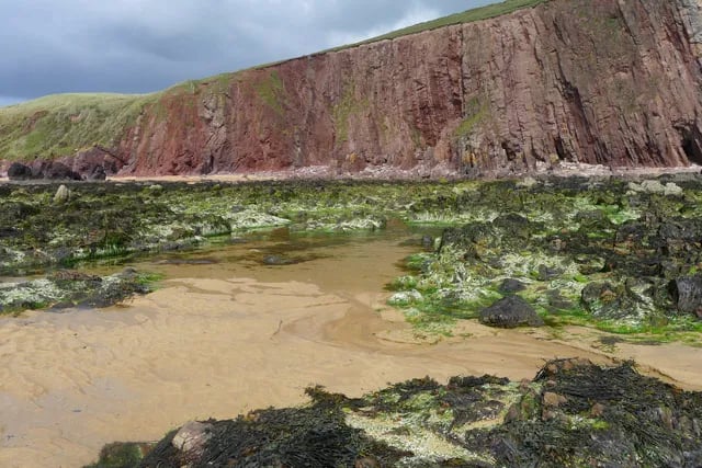 Timber Hill gallery 2