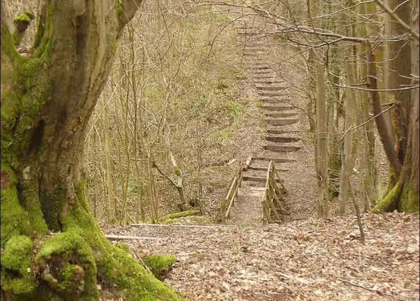 The Big Green Shepherd’s Hut
