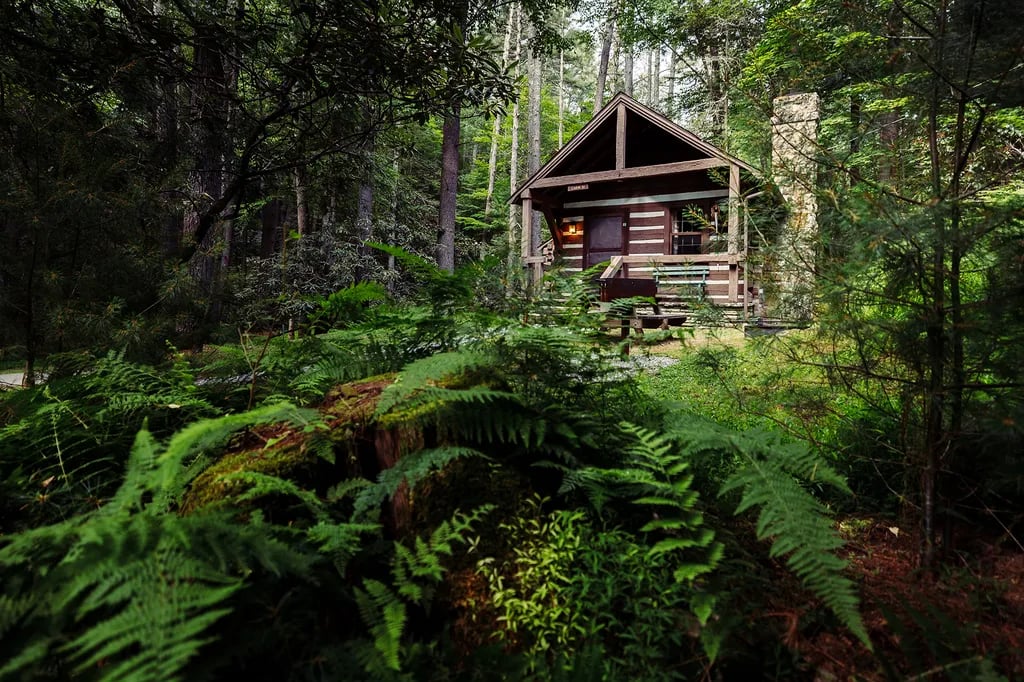 Camp Creek Ranger Outpost Cabin — Camp Creek State Park