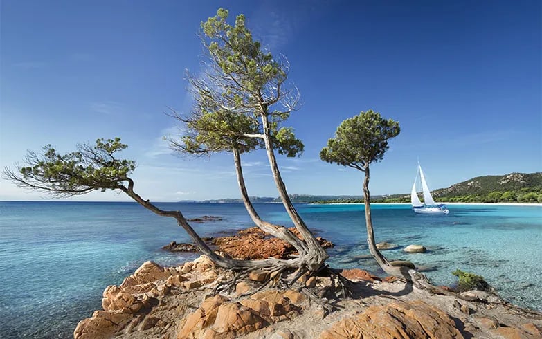 Camping Le Clos Fleuri gallery 1