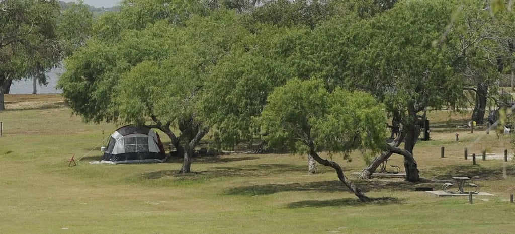 Lake Corpus Christi State Park Campground gallery 1