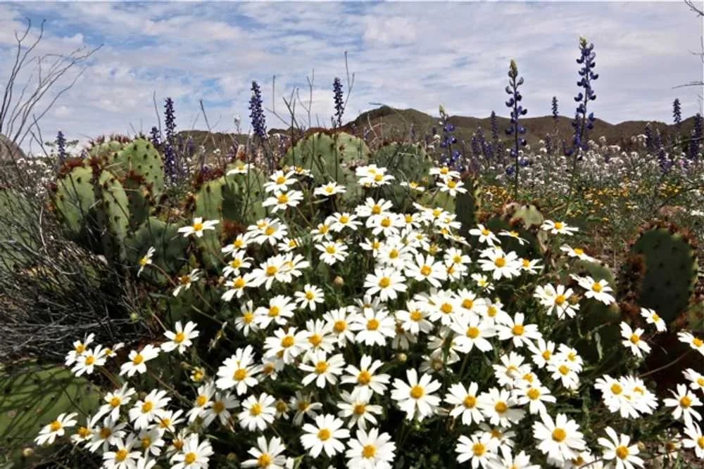 BJs RV Park gallery 2