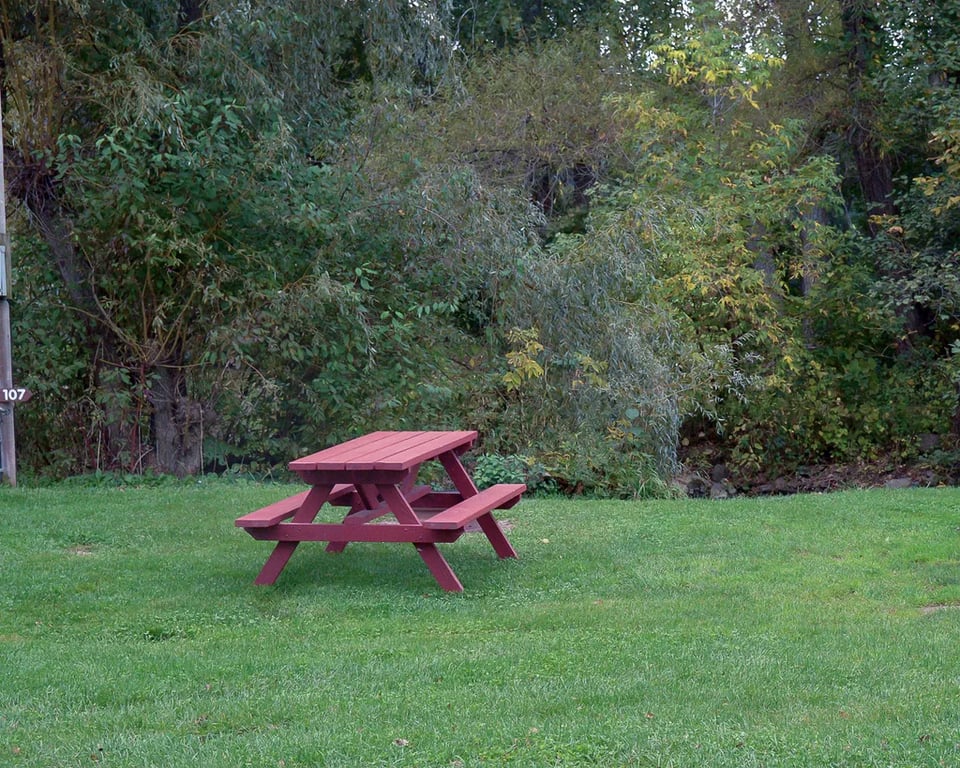 Woodstream Campsite gallery 1