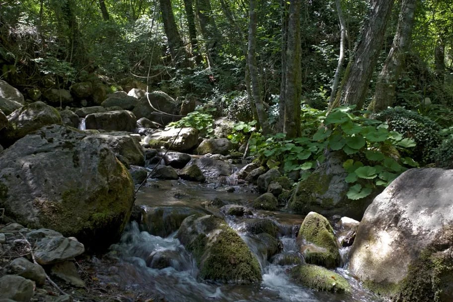 Camping Rio Requesa gallery 1