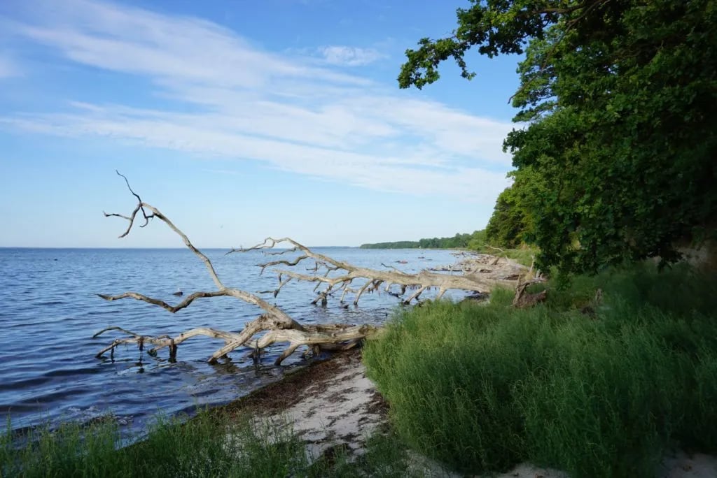 Vemmetofte Strand Camping gallery 1