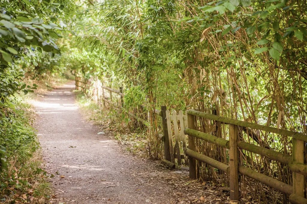 Bath Marina and Caravan Park gallery 1