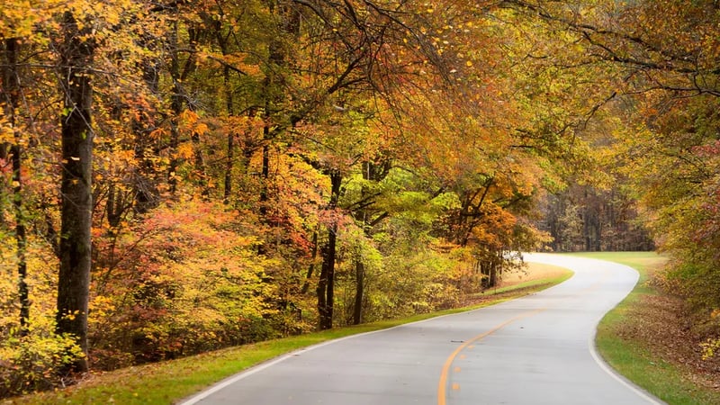 Witch Dance Bicycle Only Camp — Natchez Trace Parkway gallery 1