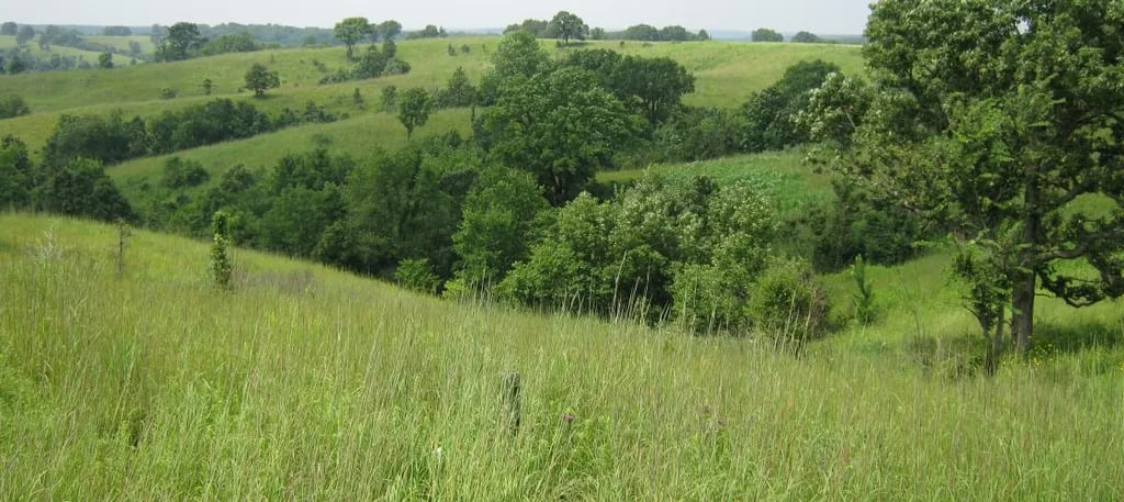 Rippee Conservation Area