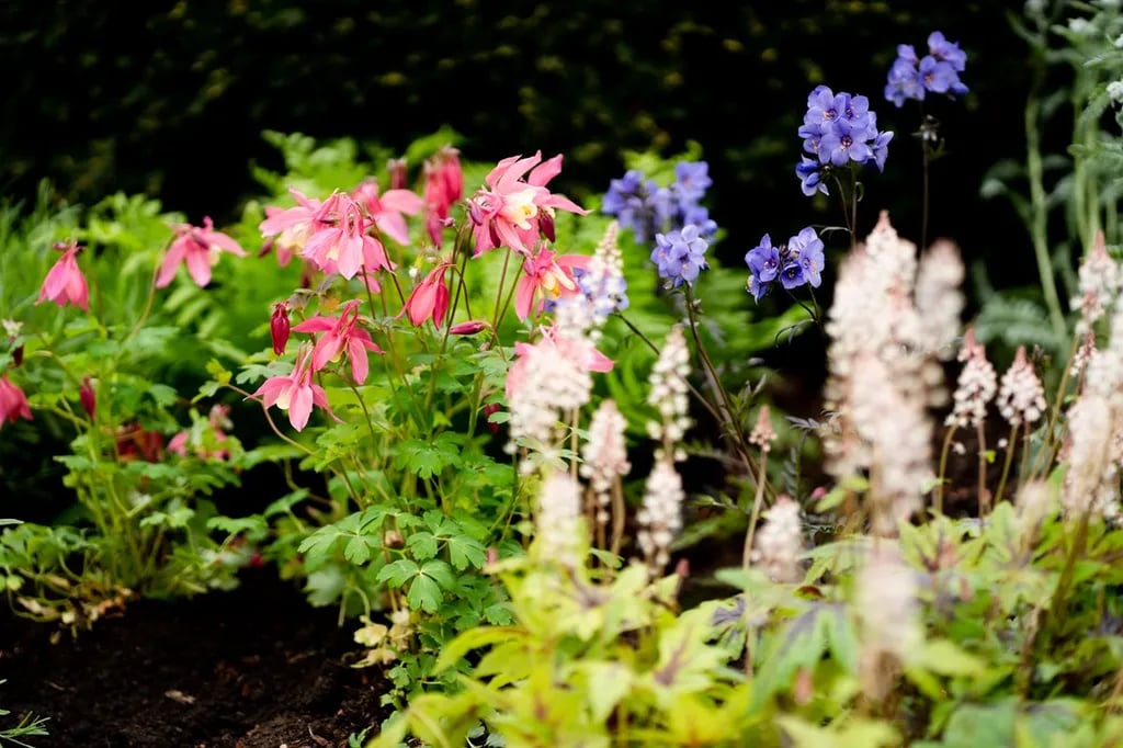 Six Mile Water Caravan Park gallery 2