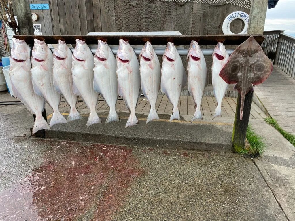 Big Sky Charter & Fish Camp gallery 1