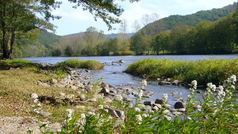 Camping Le Vaurette gallery 2