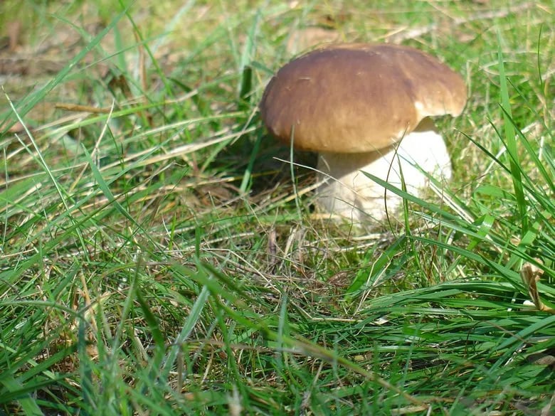 Camping Olsina gallery 2