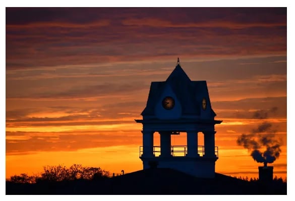 JJ Collins Marine Park gallery 2