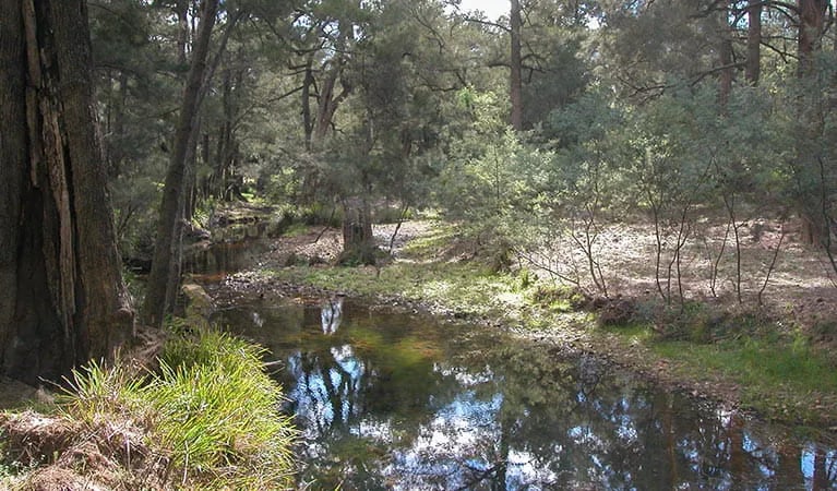 The Diggings campground gallery 3