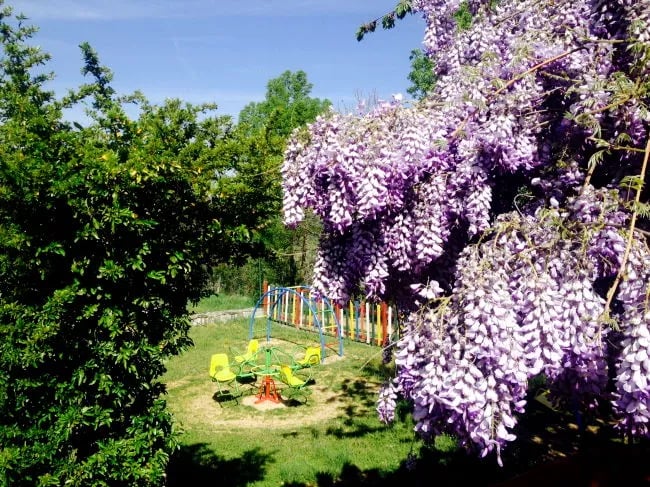 Parque de Campismo Cepo Verde gallery 3