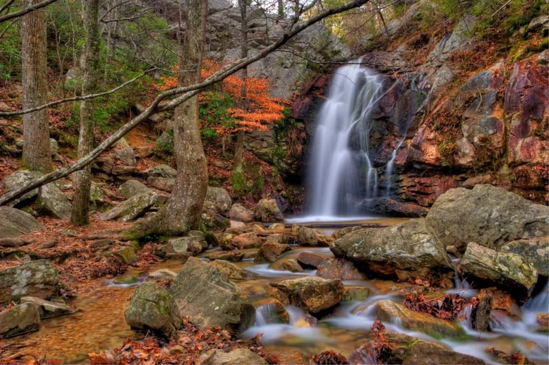 Backcountry Site — Oak Mountain State Park gallery 1