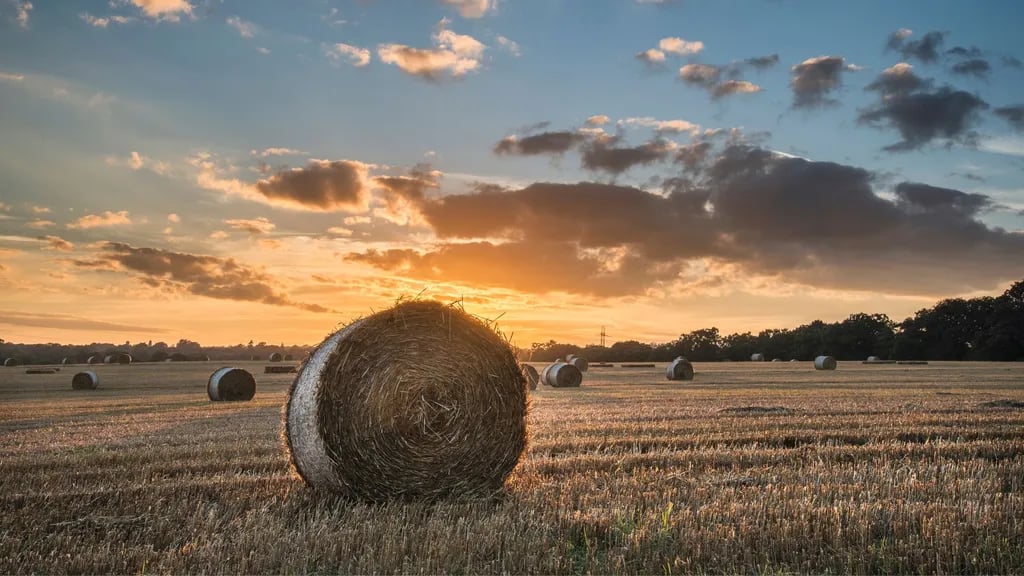 Agricampeggio Elilu Soul Farm gallery 2