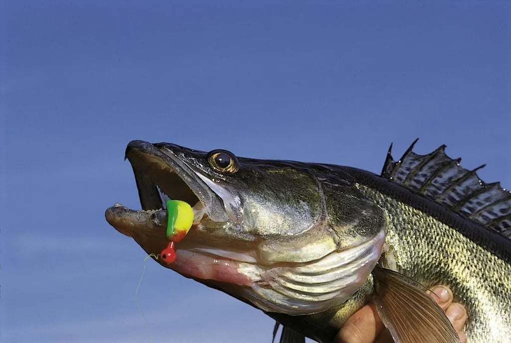 Camping Les Terrasses Du Lac