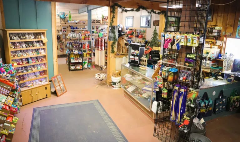 Branch Brook Campground gallery 2