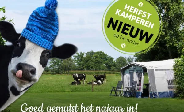 Camping De Koller gallery 2