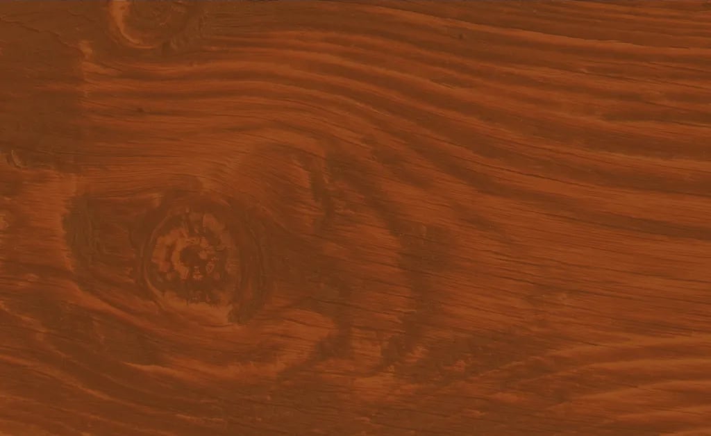 Holme Pierrepont Country Park gallery 2