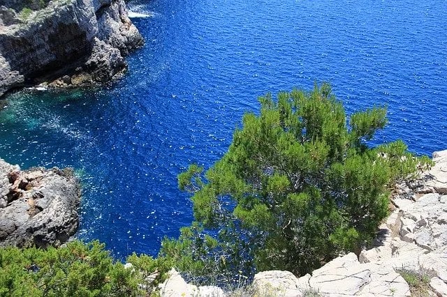 Camp Mioi Rtina, Croatia - CamplinQ