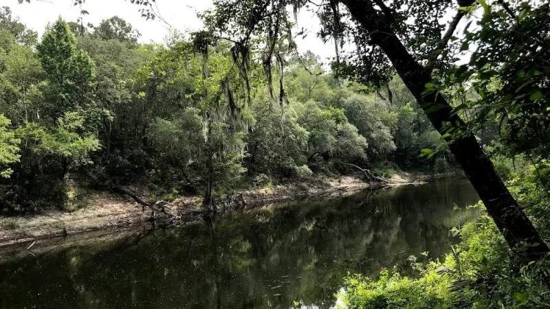 Madison Blue Springs Private Land – FL gallery 3