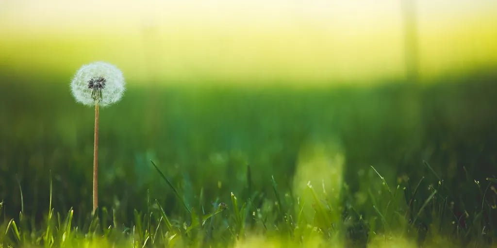 Agriturismo La Torraccia gallery 2