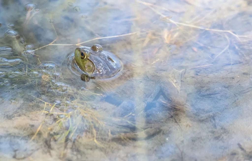 Cherry Creek State Park gallery 3