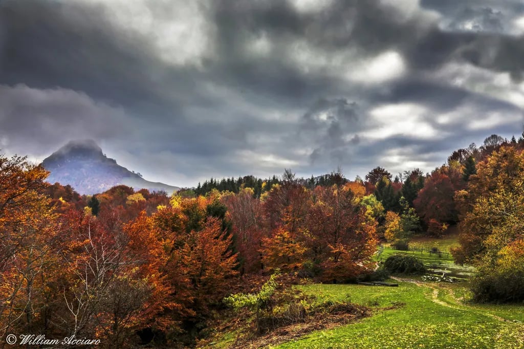 Camping ai Colli Fioriti