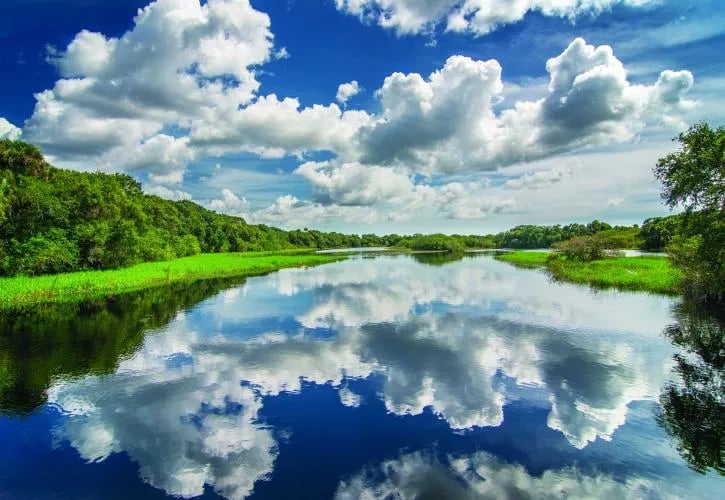 Old Prairie Campground — Myakka River State Park gallery 2