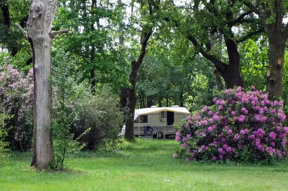 Aire Naturelle de Camping du Toy gallery 3