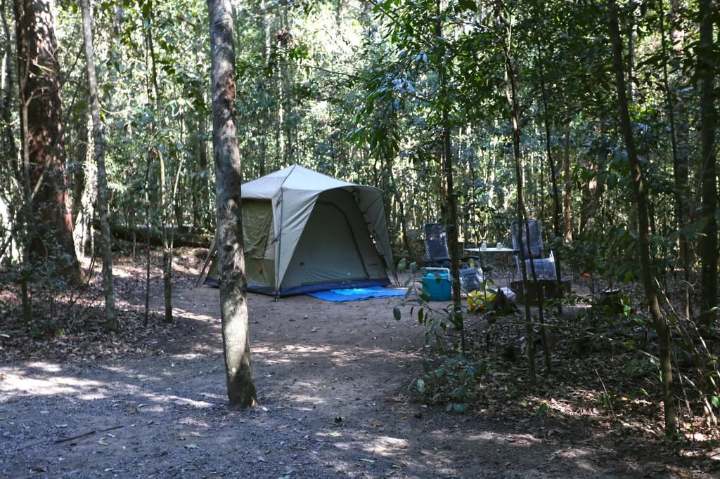 Conondale National Park gallery 1