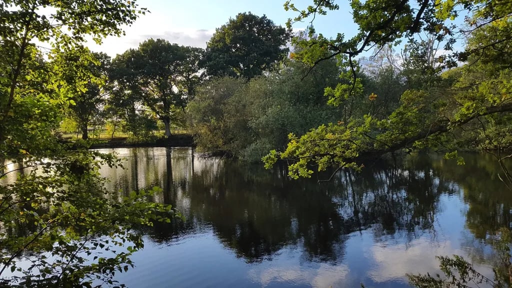 Woodhall Spa Wild Camping gallery 1