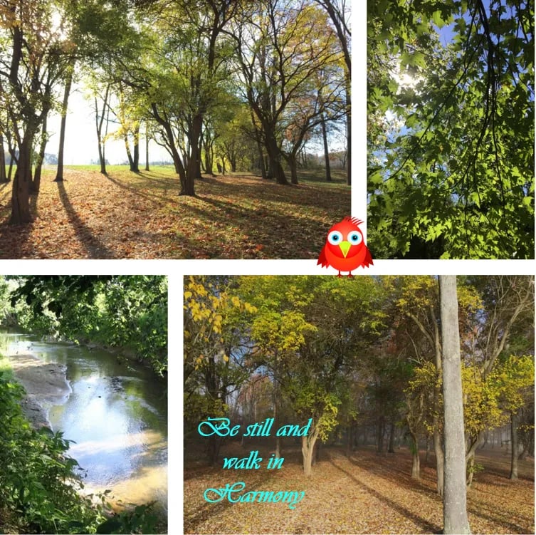 Baylor Beach Park gallery 1