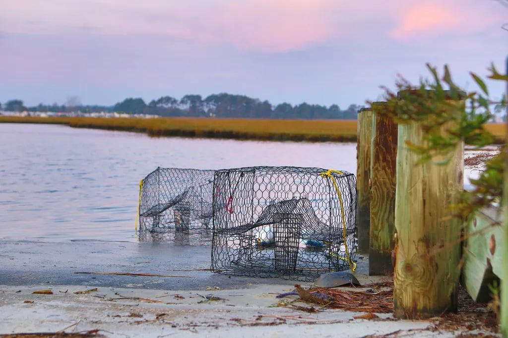 Treasure Beach RV Park & Campground gallery 3